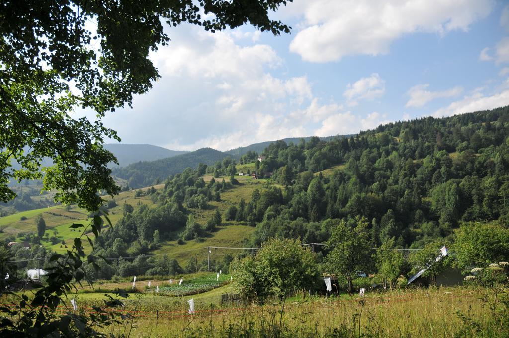Villa Drevenicka 110 Zázrivá Esterno foto